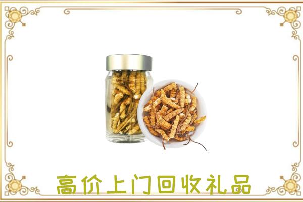 黑河周边回收虫草